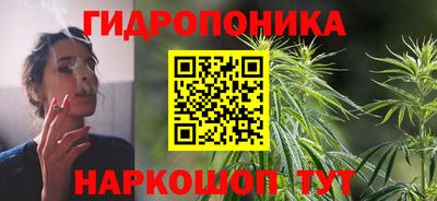 крисы Аша
