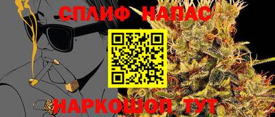 крисы Аша