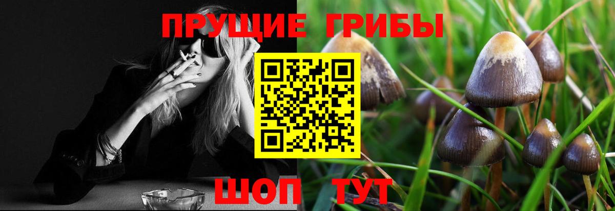 Псилоцибиновые грибы Psilocybine cubensis  Псилоцибиновые грибы мухоморы  Вход с VPN  Всеволожск 